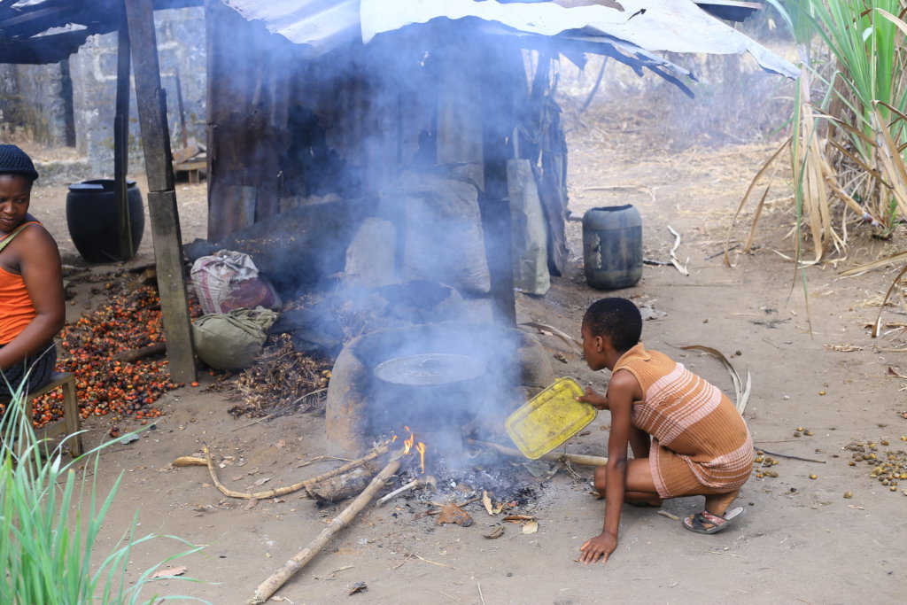 Scaling Up Distribution of High-impact Cookstoves