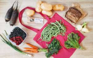 Contents change every week depending on harvest
