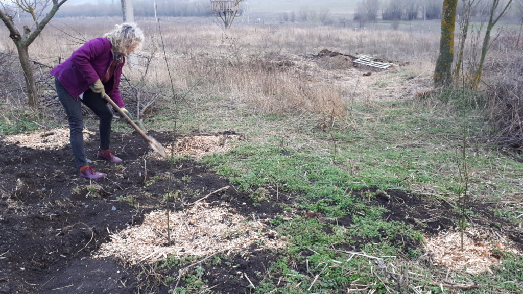 50 trees planted last month