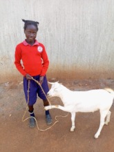 Orphan child with her new pet goat