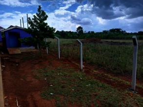 Fence Construction