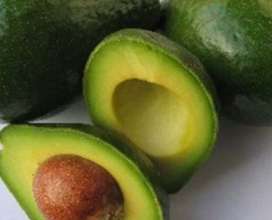 Omilling needs Avocado Fruit!