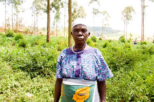 Laura Iteng - Omilling needs Fruit tree seedlings!