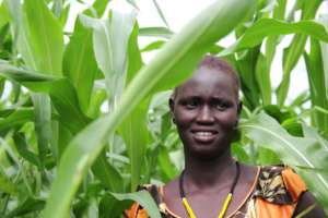 A greener Environment for future generation