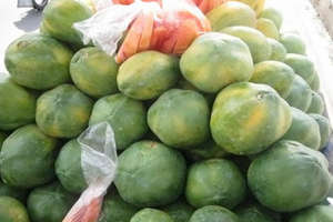 Pawpaw fruit