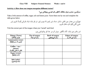 General Science Worksheet for students of Grade 8