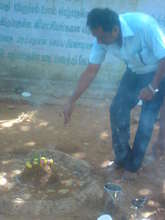 Sprinkling of nava danya (nine pulses) seeds