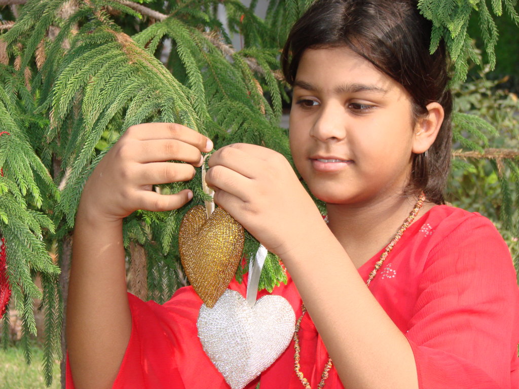 Help 300 women achieve Economic Independence