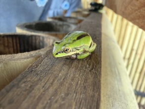 This refuge is for all the Xochimilco biodiversity