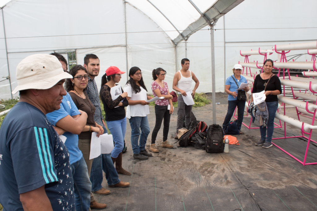 Create a refuge and save the Xochimilco wetland