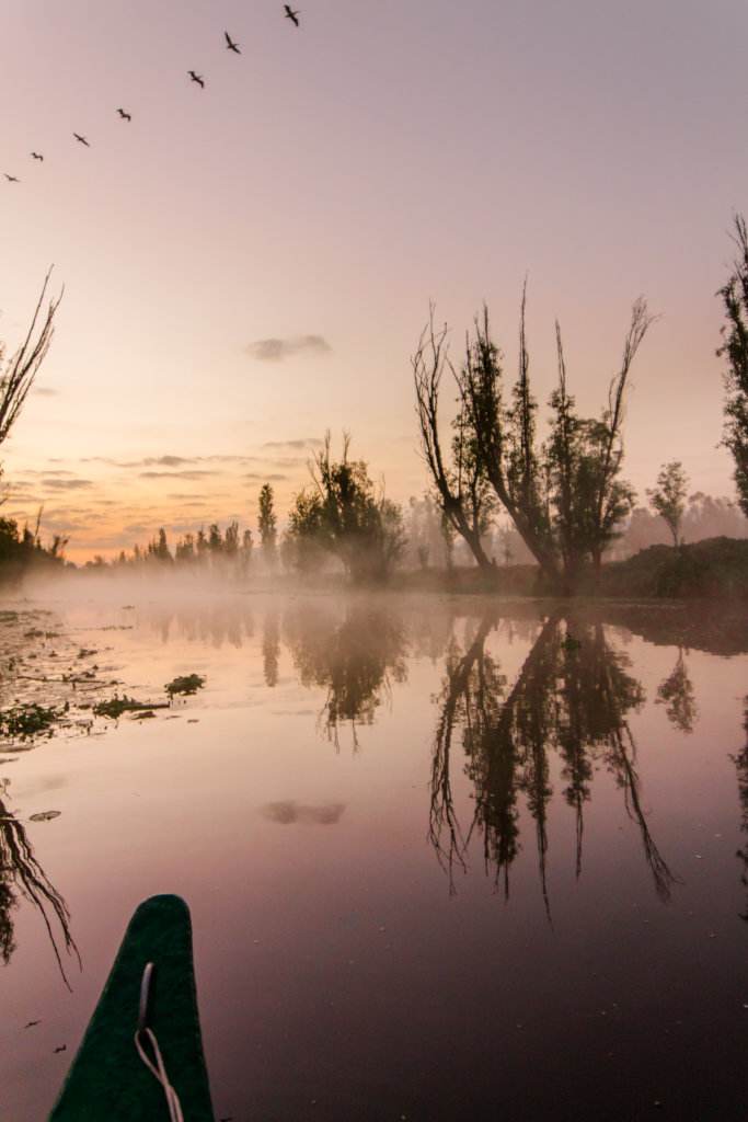 Create a refuge and save the Xochimilco wetland