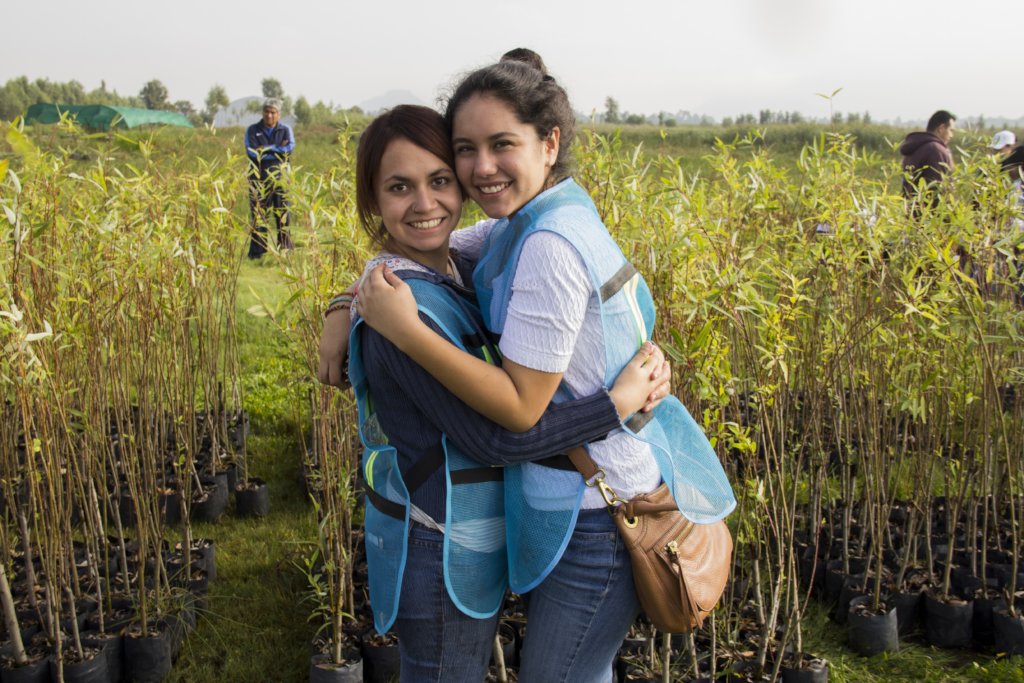 Create a refuge and save the Xochimilco wetland