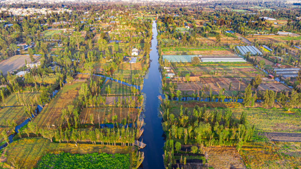 Create a refuge and save the Xochimilco wetland