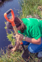 Volunteers planting trees