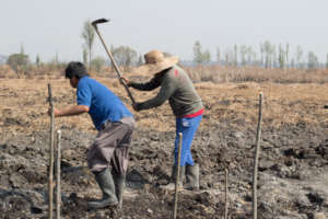 People of the community caring the planted trees
