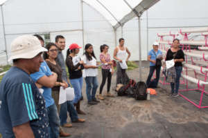 Hydroponics workshop