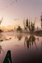 Xochimilco is habitat of many wildlife species