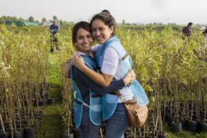 Volunteers planting trees