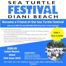Become a Friend of the Sea Turtle Festival