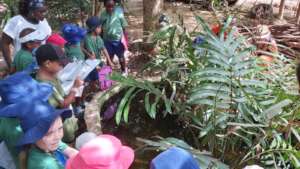 Exploring Animals Living in our Pond and Forest!