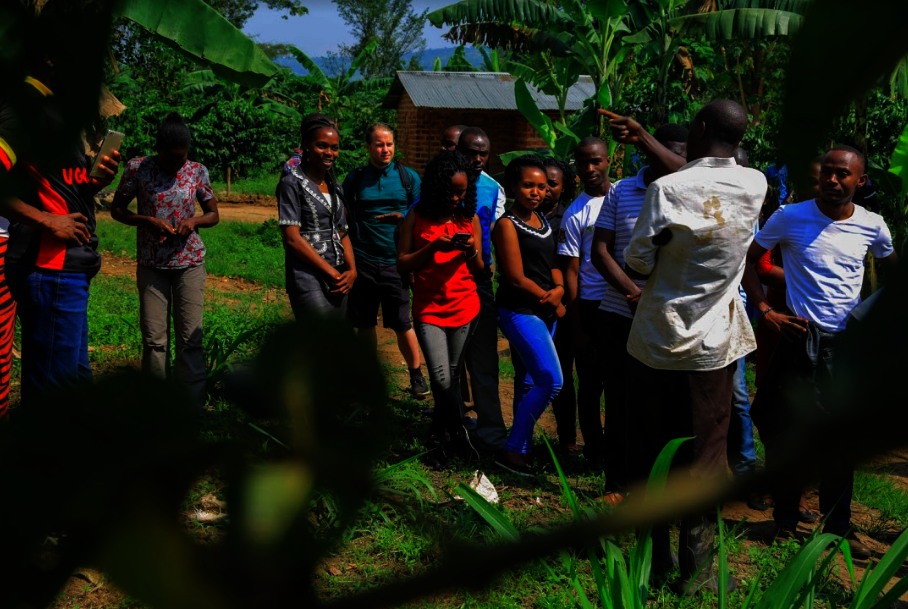 Growing over 200 Youth Agripreneurs in Uganda