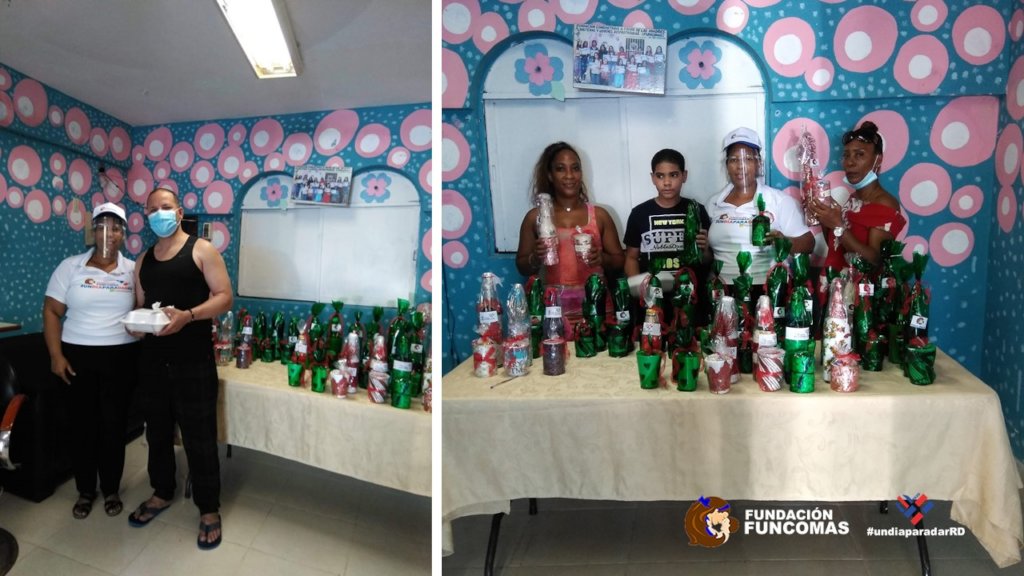 Help train hundreds of single mothers in DR