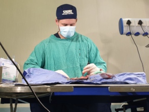 Mercy's infected wound was removed