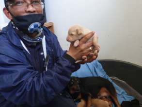 Safe and Warm at the SPCA