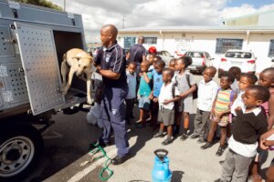 Education Team collecting dog at a school