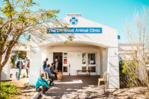 Our Animal Hospital