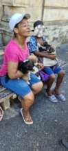 Puppy Seller at work