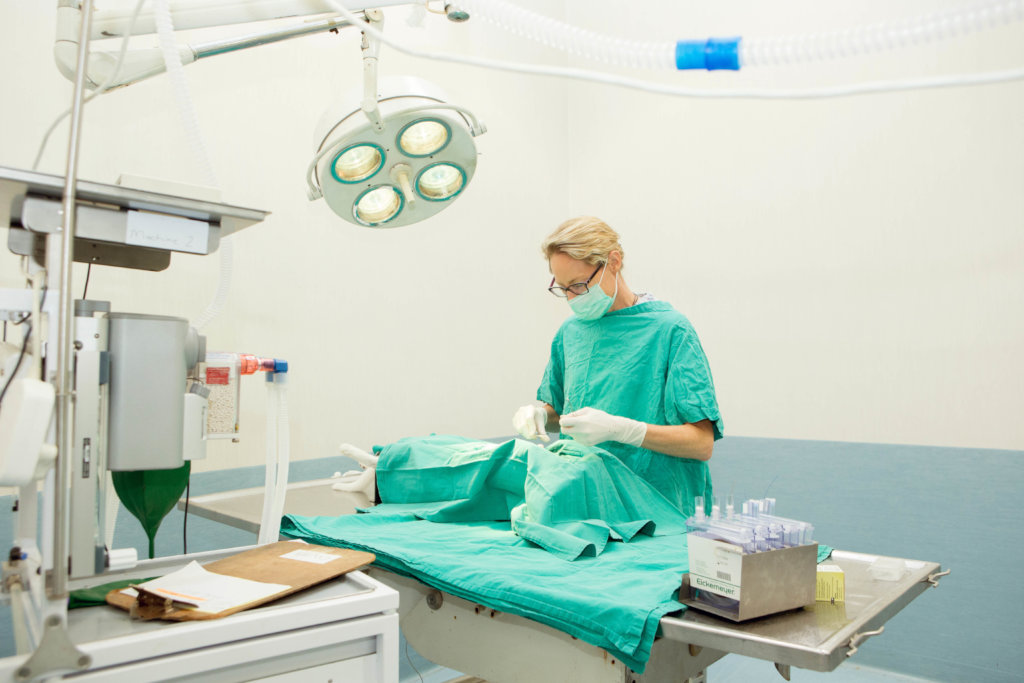 STERILISE 1000 ANIMALS AND PREVENT SUFFERING