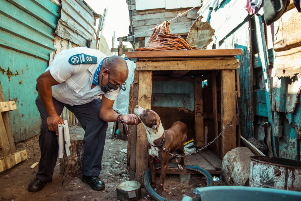 spca grassy park adoptions