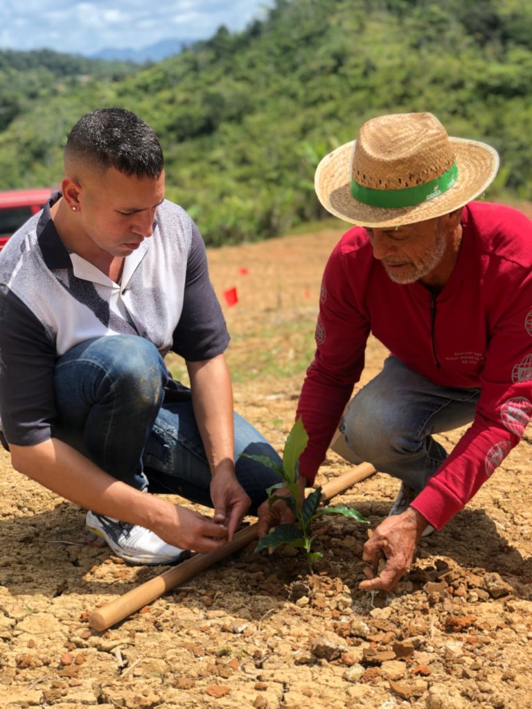 Supporting Coffee Farmers in Puerto Rico