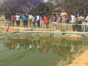 Zimconserve Fish Farming Project