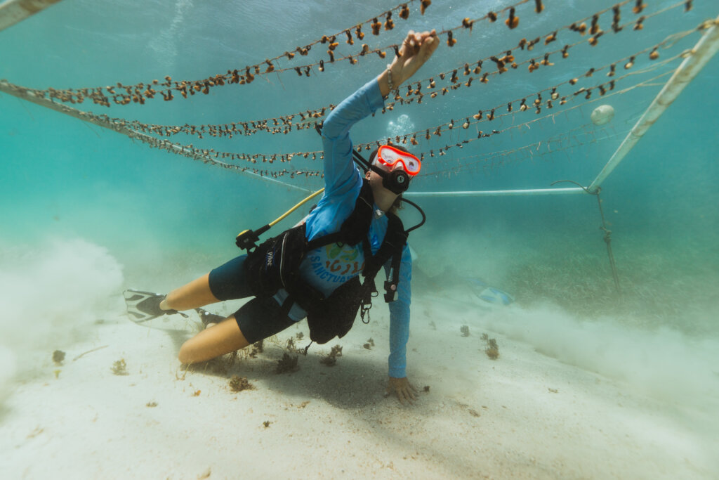 Empower Jamaican Fishermen to Restore Marine-Life
