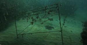 Damaged  WRFS Coral Nursery