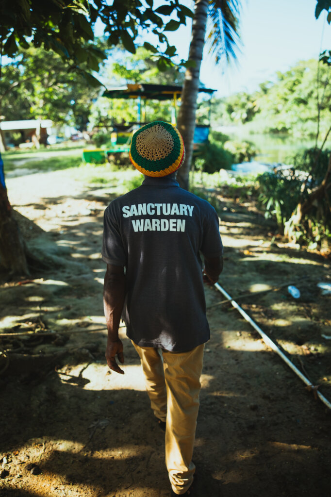 Empower Jamaican Fishermen to Restore Marine-Life