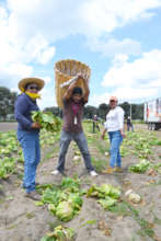 Volunteers