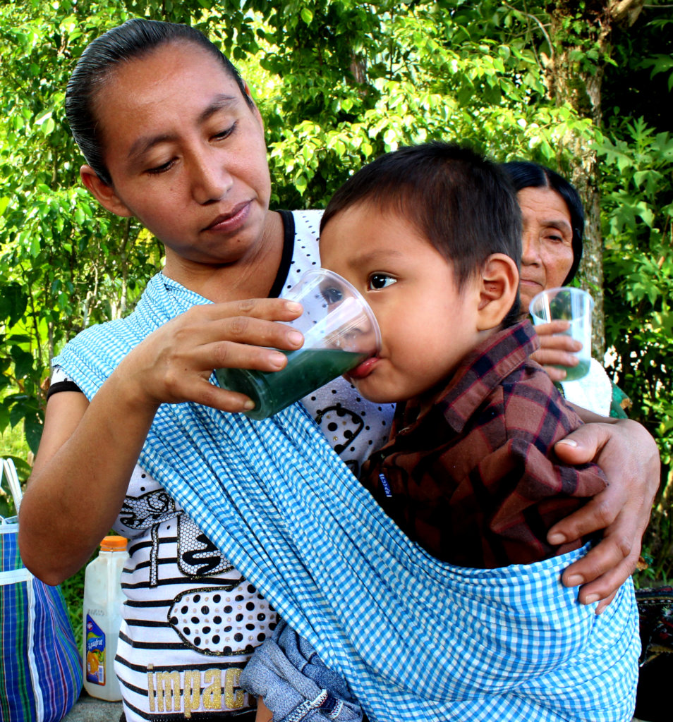 Spirulina farm for 50 malnourished tenek families