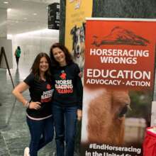 Horseracing Wrongs at the NYS Capitol
