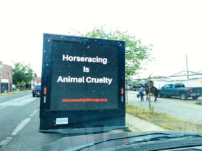 Mobile Billboards at Pimlico for the Preakness