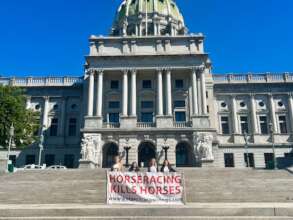 Educating Legislators in Harrisburg, Pennsylvania!