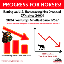 Racing in decline!