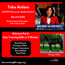 Take Action in New York!
