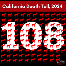 Death Toll in CA, 2024