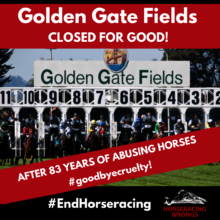 Golden Gate Fields Closes