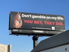 First-ever static billboard in Tampa Florida