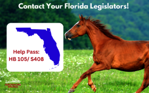 Take Action in Florida!