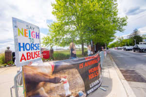 Preakness Protest